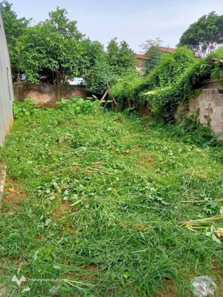 Bán đất đẹp nở hậu ngõ 80 Tô Thị, ô tô vào tận nơi, giá 1,1 tỷ