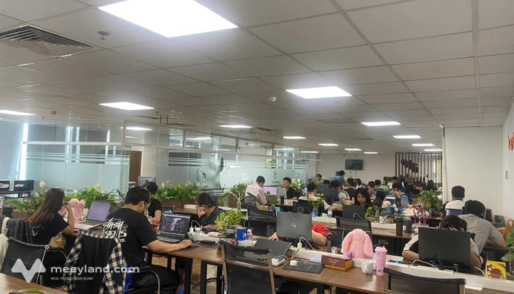 Cho thuê sàn Văn Phòng Chuyên Nghiệp Mỹ Đình Hàm Nghi Nguyễn Cơ Thạch | 220m | Full nội thất | 13$
