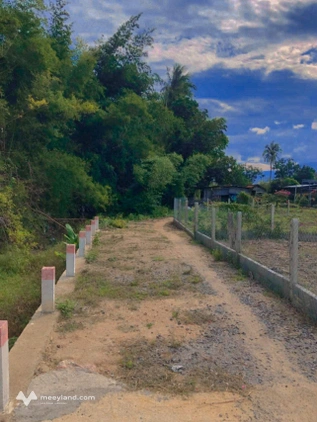 Đất thổ cư giá rẻ tại Xóm Rau, Ba Ngòi, Cam Ranh cũ