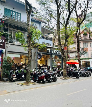 Cho thuê cửa hàng,seroom,MBKD,mặt phố khu vực Chợ Bưởi , Đội Cấn,Vĩnh Phúc , Linh Lang 180m2,20t/th