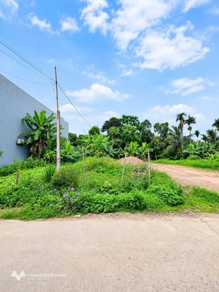 Lô đất vuông vắn tại phường Minh Xuân, Tuyên Quang, cơ hội an cư lý tưởng