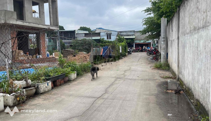 Cho Thuê dài hạn đất dt 300-1500m