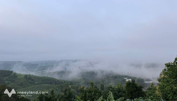 Chốt sớm giá tốt 1.500m² đất vườn view sông La Ngà – Hồ Trị An