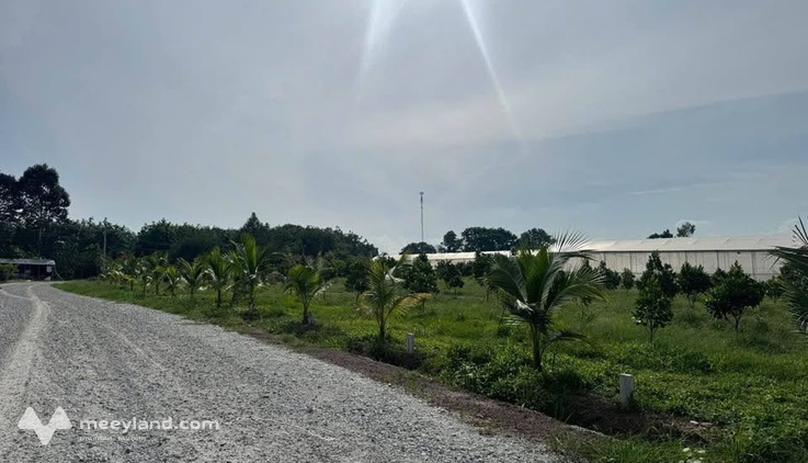 Đất vườn An Linh, Phú Giáo, 1253m2, giá chỉ 400 triệu