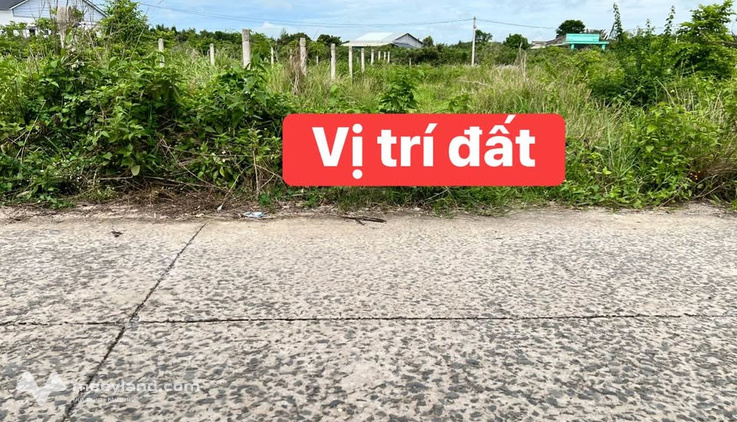 Đất nền thổ cư 195m2 tại Bàu Đồn, Gò Dầu, vị trí đắc địa gần khu công nghiệp Phước Đông