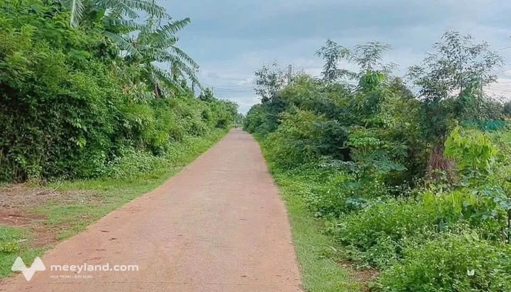 Đất vàng Đại Đồng, cơ hội an cư đầu tư
