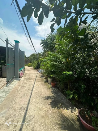Nhà vườn xinh xắn tại Phú Hưng, Bến Tre, ngang 10m, ô tô vào tận cửa