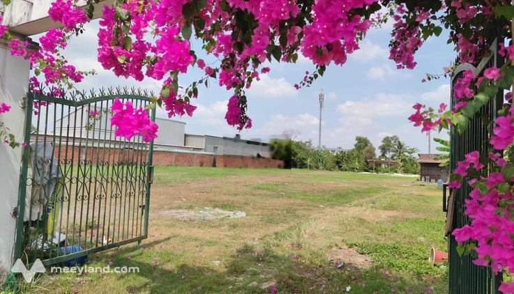 Cho thuê mặt bằng đất nền rộng ~3.000m² – mặt tiền hẻm bưng ông thoàn,