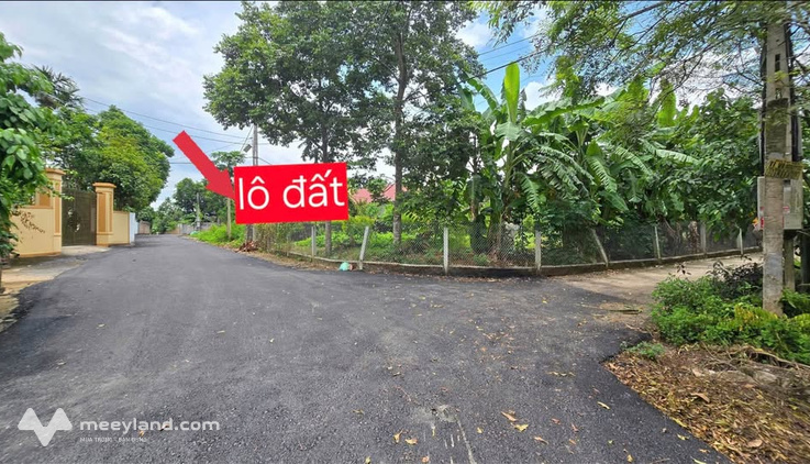 Bán lô đất tại Tam Quan, Tam Đảo, chỉ cách trường THPT Tam Đảo khoảng 300m