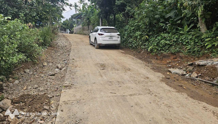 Bán lô đất 177m2 kèm nhà cấp 4 tại xã Bắc Phong, huyện Cao Phong, tỉnh Hòa Bình cũ