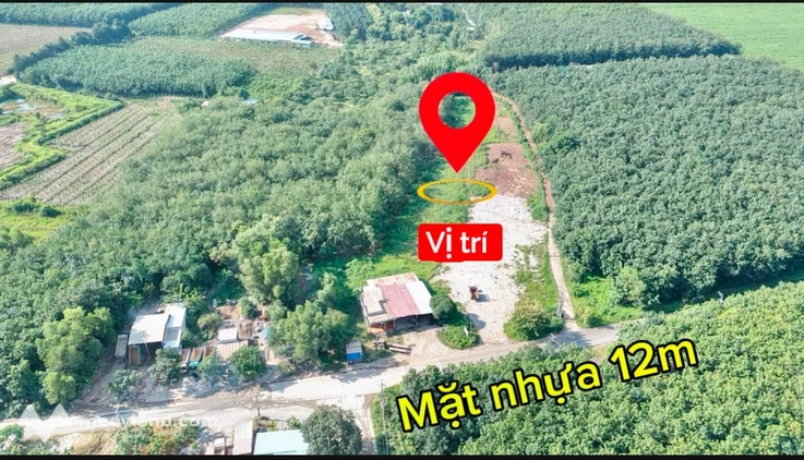 Bán đất quy hoạch SKC mặt tiền đường ĐH503, huyện Phú Giáo, Bình Dương, giá 17 tỷ