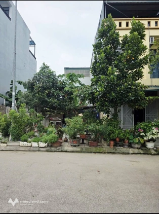Bán đất đẹp Núi Long, vị trí kinh doanh đắc địa, giá chỉ 3.5 tỷ