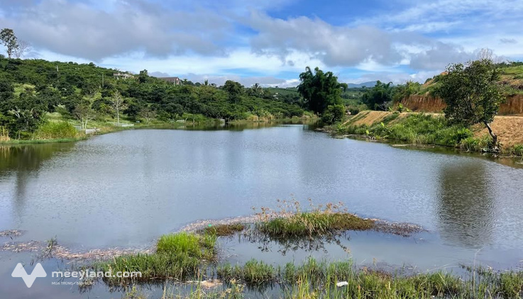 Đất view hồ Thiên Nhiên, ven Đà Lạt, chốt ngay kẻo lỡ