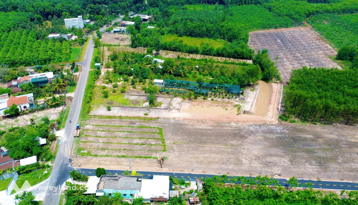 Đất Minh Thạnh 5x50, giá chỉ 545 triệu