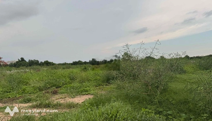 cho thuê đất đường Nguyễn Hữu Thọ 10.000m2 giá rẻ