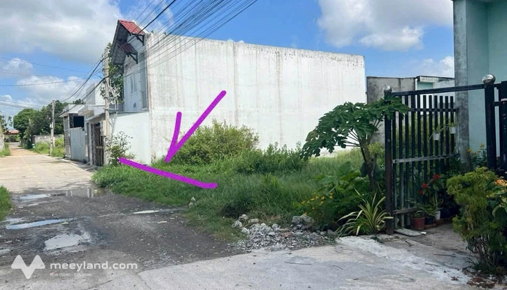 Bán đất thổ cư tại khu dân cư Phúc Giang, Long Định, Cần Giuộc