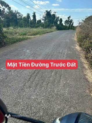 Bán 6,400m2 đất nông nghiệp mặt tiền đường nhựa tại Quảng Hiệp, Cư Mgar