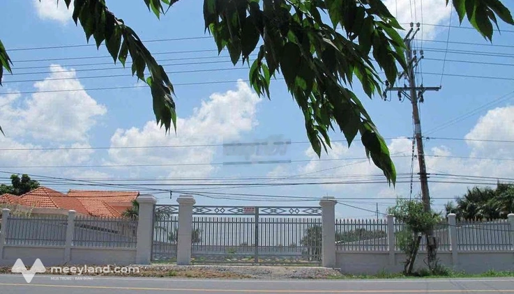 đất đang trống cuo người thiện chí thuê làm cty hoac xương
