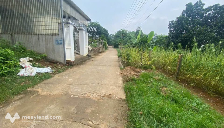 Đất vàng Phú Thọ, 453m2 view đồi, 2 mặt tiền ô tô, giá bình dân