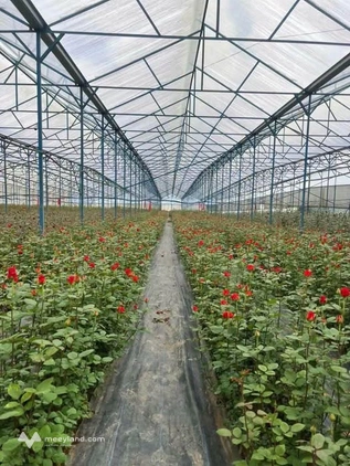Vườn đẹp bằng phẳng tại thị trấn Lạc Dương, Đà Lạt, giá đầu tư