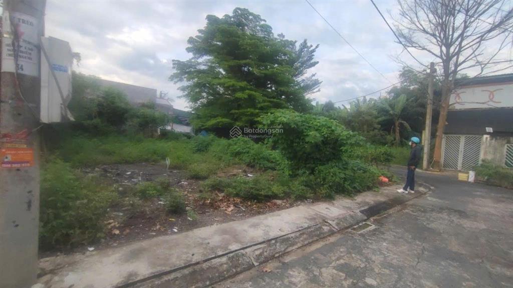 Bán đất nền 120m² tại xã mỹ lộc tỉnh tây ninh