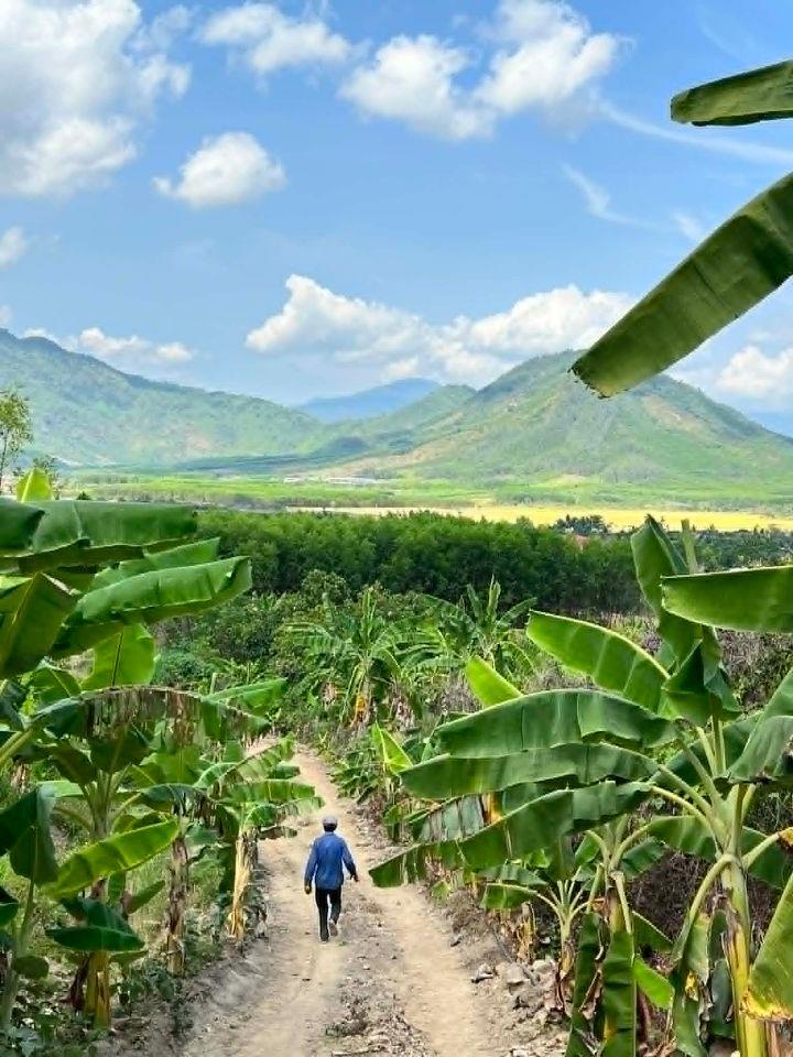 sở hữu 1,3 hecta đất view đẹp đường oto gần chợ, trường chỉ với giá 114k/m2