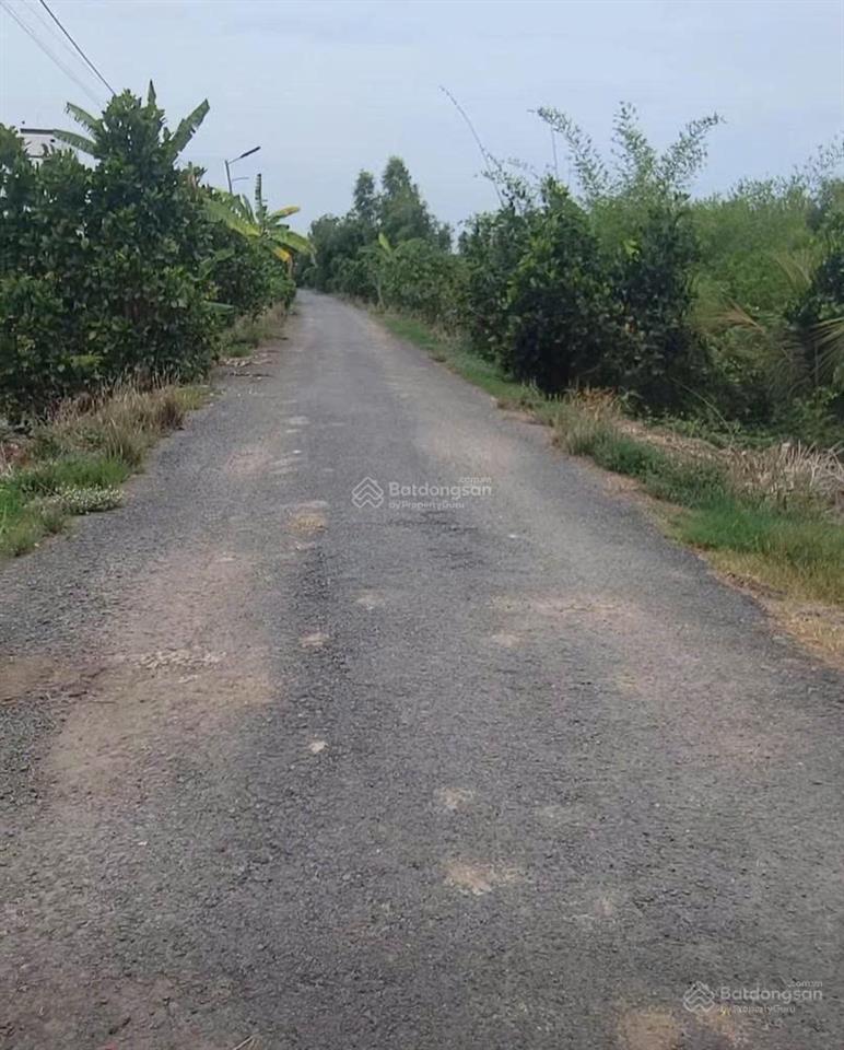 Bán đất tại ấp mương khai, xã mộc hóa, 16 tỷ, 11000m2