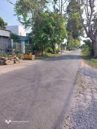 Đất vườn dừa 800m2 tại An Hội, Vĩnh Long, ngang khủng 18,5m