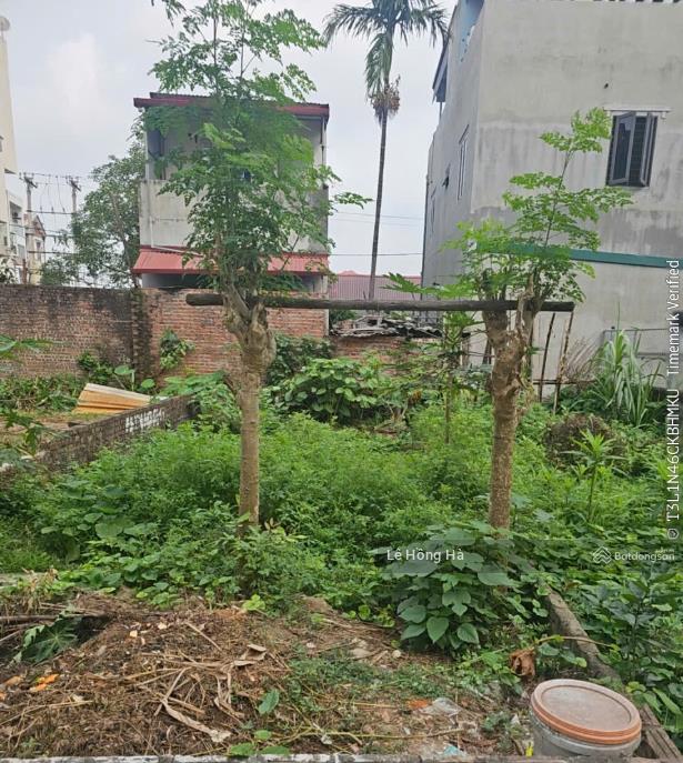Bán đất 47,3m2 gần cầu đông trù, giáp vinhomes cổ loa, ngõ thông, sổ đẹp