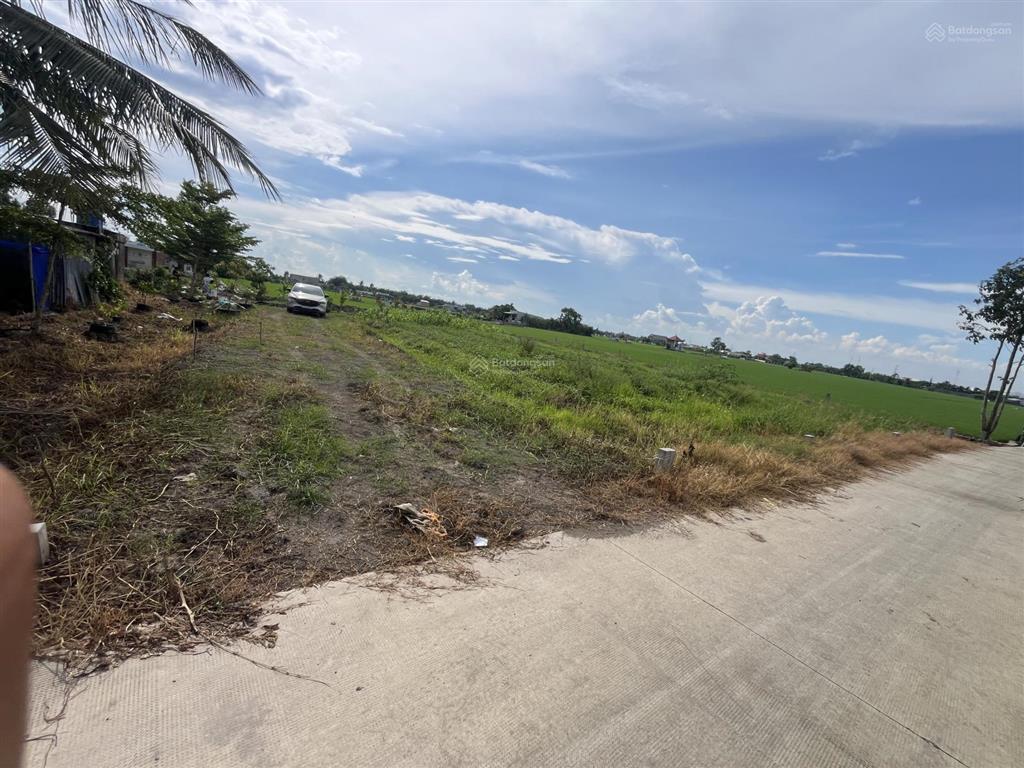 Hàng đất thổ cho anh chị đầu tư. 110m² thổ cư nền cao, bình lãng, tân trụ, long an (tây ninh mới)