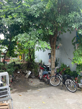 Bán đất nền, 31,4 m², Cẩm Lệ
