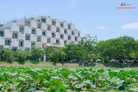Cho thuê phòng trọ sinh viên tại Hòa Lạc. Ngay cổng trường ĐH FPT, gần ĐHQGHN. Giá 1,8tr/th, vskk