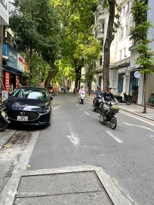 Phố Tôn Thất Thiệp, , mặt tiền 7,2m, 95 tỷ, vỉa hè, ô tô, 2 mặt trước sau