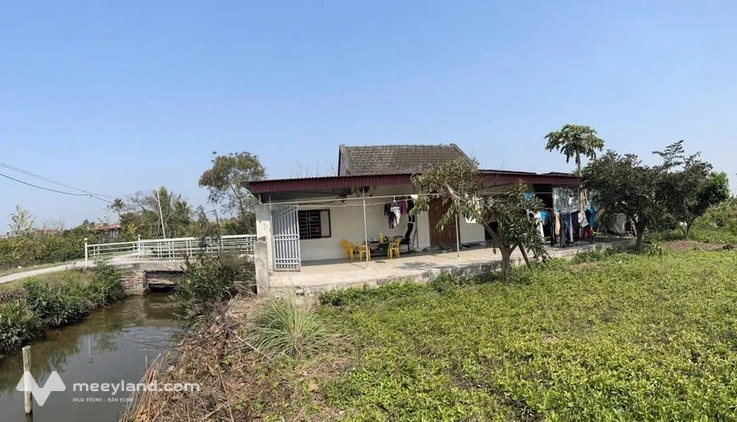 Đất rộng mênh mông, nhà xinh vườn ao, giá rẻ bất ngờ