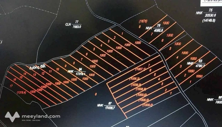 Sốc nhiệt với 4,5 hecta đất Đắk Nông, giá rẻ như cho