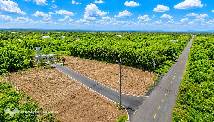 Mặt tiền nhựa Xóm Rạch Bình Lợi, giá rẻ bất ngờ cho nhà đầu tư