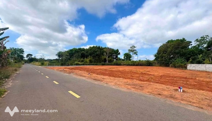 Lô đất vườn 500m2 mặt tiền đường nhựa, giá cực hời tại Long Phước