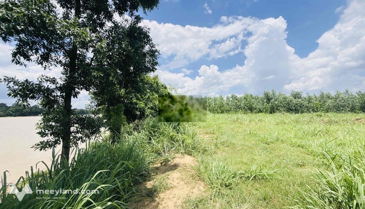 Cho Thuê Đất 5.000m2 - Bình Lợi - Vĩnh Cửu - Giá: 10tr