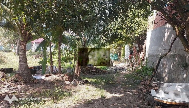 Cho thuê đất dtsd : 2300m2 tại xã mỹ hạnh bắc - đức hòa - long an