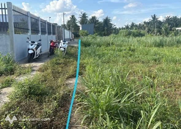 Nền biệt thự xinh xắn tại Phú Tân, không gian xanh mát