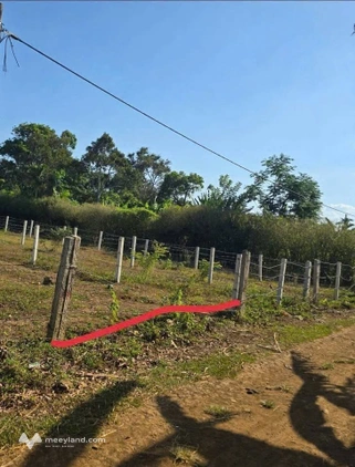 Đất nền Tara Hòa Đông, vị trí đắc địa gần đường tránh