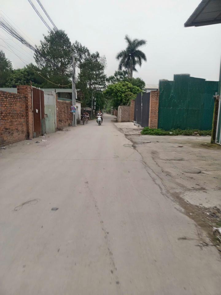 Bán 572m2 đất cây Lâu năm Vân Côn, Hoài Đức, cách Đại lộ Thăng Long chỉ 200m