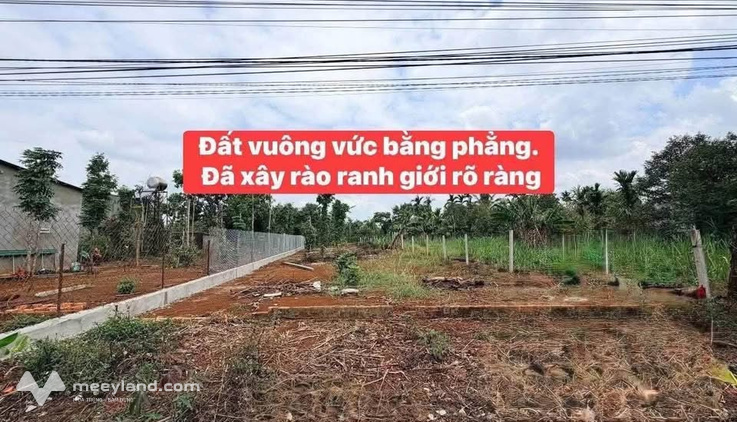 Đất mặt tiền đường nhựa 300m2 tại Ea Kpam, kinh doanh cực đỉnh