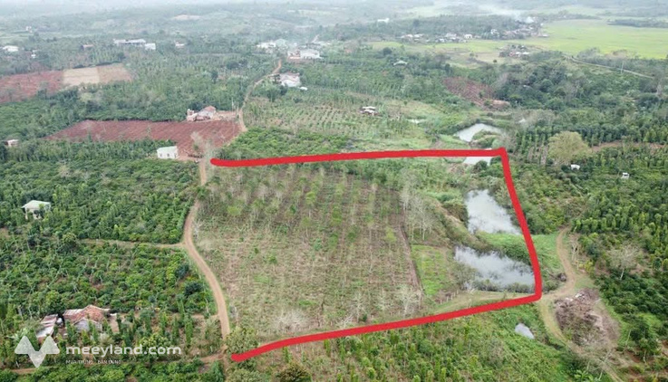Đất 2 mặt tiền siêu rộng tại Buôn Hồ, Đắk Lắk, giá cực hời