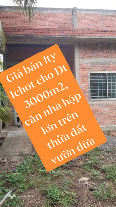 Bán đất vườn 3000m2 kèm nhà ở xã Bình Thành, Giồng Trôm, Bến Tre