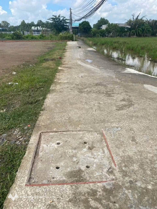 Bán đất nền tại Phước Lý, Cần Giuộc, nền đất cao ráo, bằng phẳng với mặt lộ