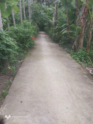Bán nhà kèm đất tại Bình Phú, Bến Tre, giá chỉ 590 triệu