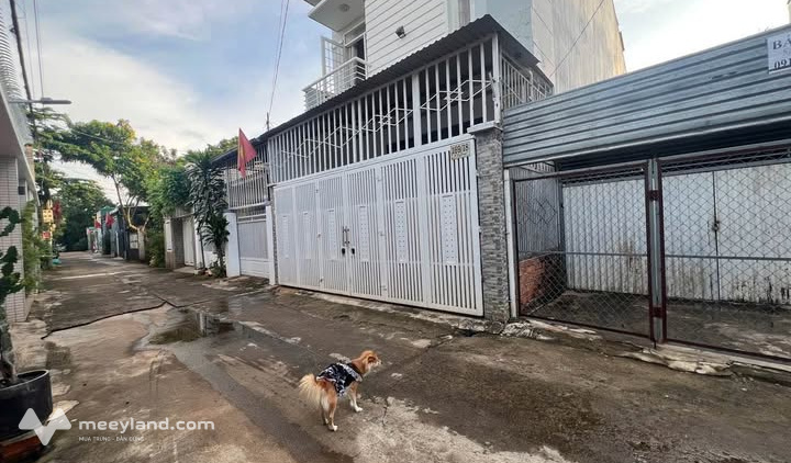 Lô đất đẹp hẻm 169 Y Ngông, Buôn Ma Thuột, diện tích 117.9m2