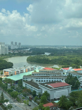 Cho thuê sàn văn phòng Golden King Quận 7 - 100m2