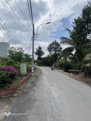 Cho thuê 1.000m² đất chính chủ, đường xe tải 5T